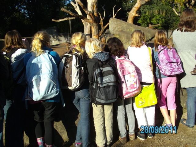 affen beobachten - kopie