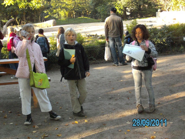 der start zur rallye