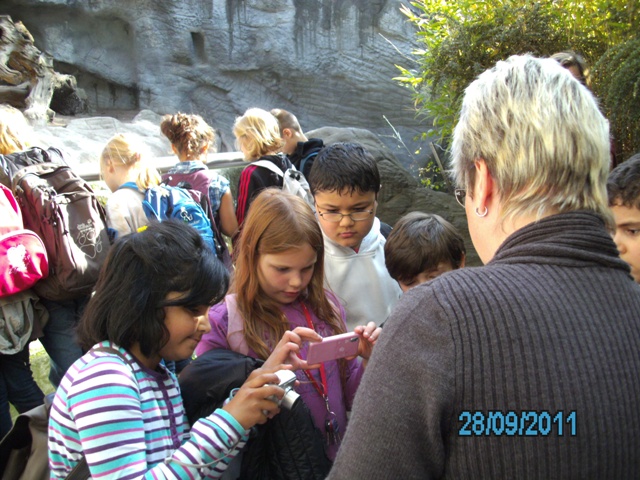 ein tiergebiss vor der lwenanlage fotografieren