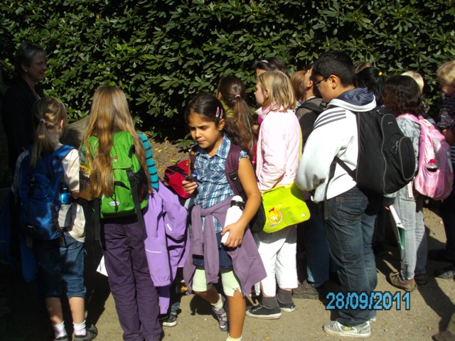 wissenswertes ber carl hagenbeck erfahren