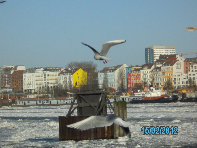 3 eisgang auf der elbe